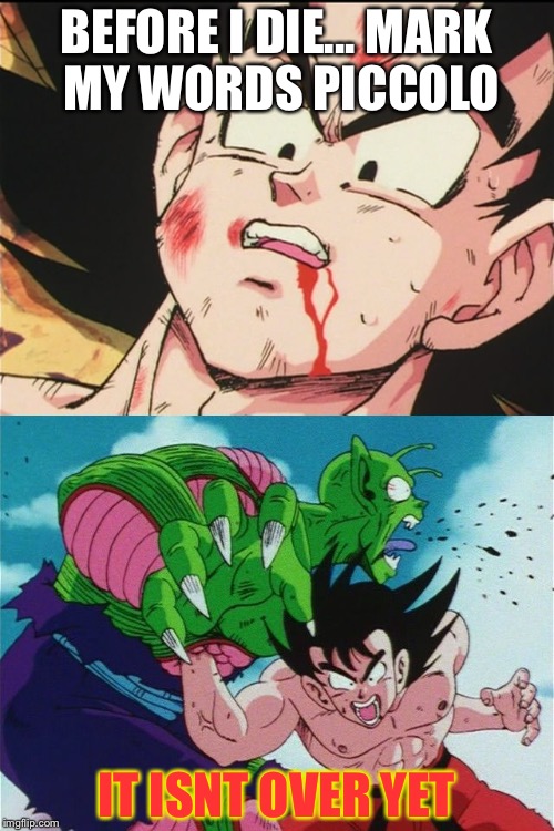 BEFORE I DIE...
MARK MY WORDS PICCOLO; IT ISNT OVER YET | image tagged in dbz | made w/ Imgflip meme maker