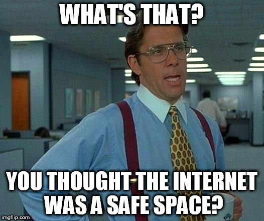 That Would Be Great | WHAT'S THAT? YOU THOUGHT THE INTERNET WAS A SAFE SPACE? | image tagged in memes,internet,safe space | made w/ Imgflip meme maker