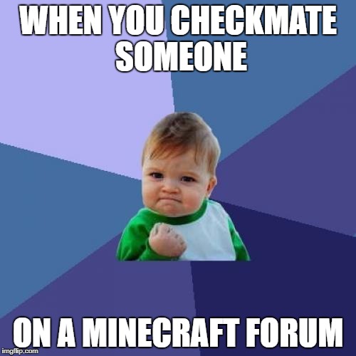 Success Kid | WHEN YOU CHECKMATE SOMEONE; ON A MINECRAFT FORUM | image tagged in memes,success kid | made w/ Imgflip meme maker
