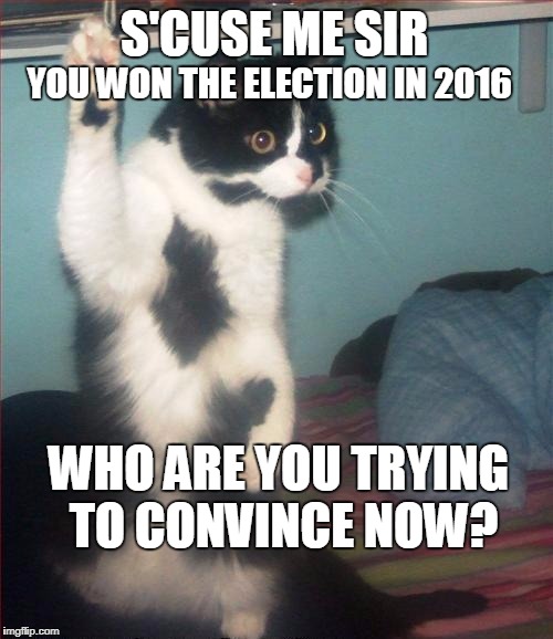 question cat | YOU WON THE ELECTION IN 2016; S'CUSE ME SIR; WHO ARE YOU TRYING TO CONVINCE NOW? | image tagged in question cat | made w/ Imgflip meme maker