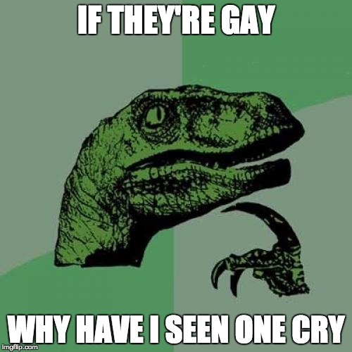 Philosoraptor | IF THEY'RE GAY; WHY HAVE I SEEN ONE CRY | image tagged in memes,philosoraptor | made w/ Imgflip meme maker