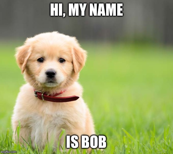HI, MY NAME; IS BOB | made w/ Imgflip meme maker