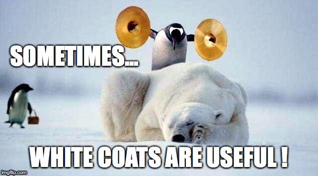 wakey wakey | SOMETIMES... WHITE COATS ARE USEFUL ! | image tagged in wakey wakey | made w/ Imgflip meme maker
