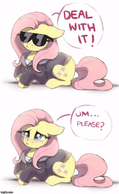 Deal with it (please!) | image tagged in memes,ponies,fluttershy,deal with it | made w/ Imgflip meme maker