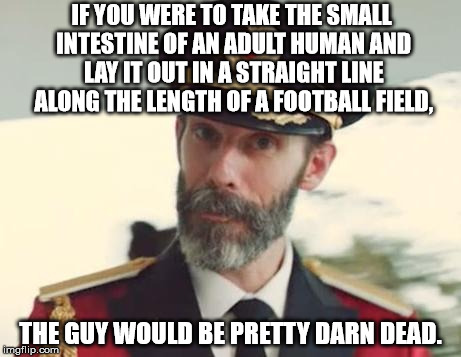 Wow. That's pretty long! | IF YOU WERE TO TAKE THE SMALL INTESTINE OF AN ADULT HUMAN AND LAY IT OUT IN A STRAIGHT LINE ALONG THE LENGTH OF A FOOTBALL FIELD, THE GUY WOULD BE PRETTY DARN DEAD. | image tagged in captain obvious,memes,fun fact | made w/ Imgflip meme maker