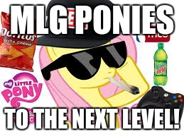 MLG Pony | MLG PONIES TO THE NEXT LEVEL! | image tagged in mlg pony | made w/ Imgflip meme maker