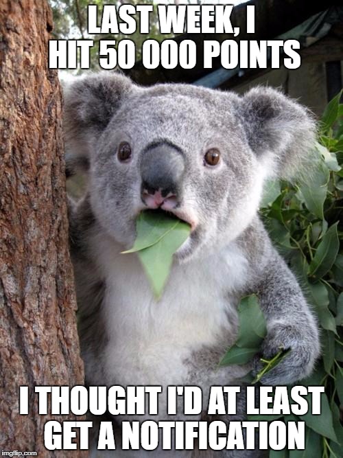 Didn't realise until now | LAST WEEK, I HIT 50 000 POINTS; I THOUGHT I'D AT LEAST GET A NOTIFICATION | image tagged in memes,surprised koala,meanwhile on imgflip,dank memes,funny | made w/ Imgflip meme maker