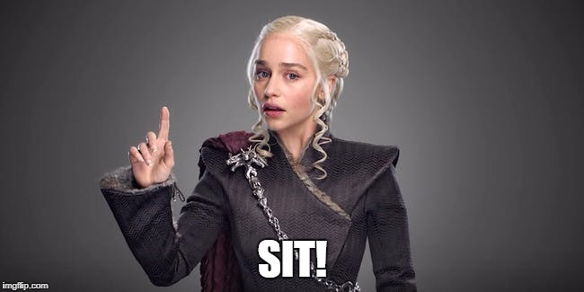 Daenerys:  Sit! | SIT! | image tagged in daenerys targaryen | made w/ Imgflip meme maker