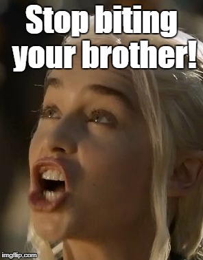 Stop biting your brother! | image tagged in daenerys targaryen | made w/ Imgflip meme maker