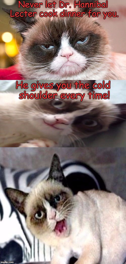 Bad Pun Grumpy Cat | Never let Dr. Hannibal Lecter cook dinner for you. He gives you the cold shoulder every time! | image tagged in bad pun grumpy cat,hannibal lecter,hannibal lecter silence of the lambs,grumpy cat,jokes,memes | made w/ Imgflip meme maker