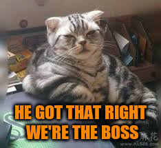 HE GOT THAT RIGHT WE'RE THE BOSS | made w/ Imgflip meme maker