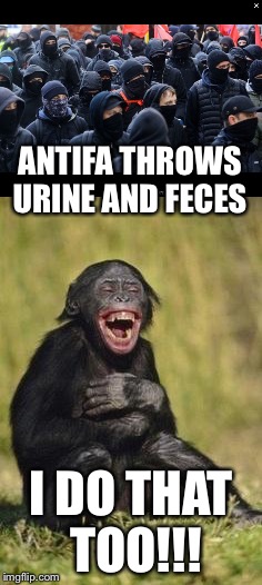 Monkey see monkey do  | ANTIFA THROWS URINE AND FECES; I DO THAT TOO!!! | image tagged in memes | made w/ Imgflip meme maker