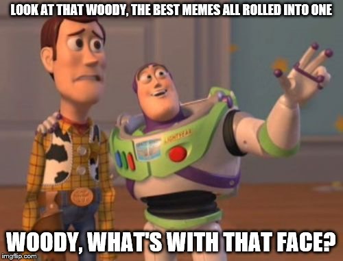 X, X Everywhere Meme | LOOK AT THAT WOODY, THE BEST MEMES ALL ROLLED INTO ONE WOODY, WHAT'S WITH THAT FACE? | image tagged in memes,x x everywhere | made w/ Imgflip meme maker