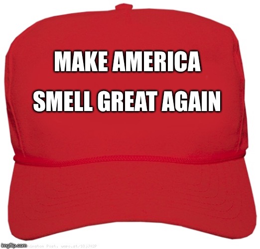 blank red MAGA hat | SMELL GREAT AGAIN; MAKE AMERICA | image tagged in blank red maga hat | made w/ Imgflip meme maker