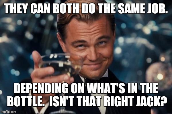 Leonardo Dicaprio Cheers Meme | THEY CAN BOTH DO THE SAME JOB. DEPENDING ON WHAT'S IN THE BOTTLE.  ISN'T THAT RIGHT JACK? | image tagged in memes,leonardo dicaprio cheers | made w/ Imgflip meme maker