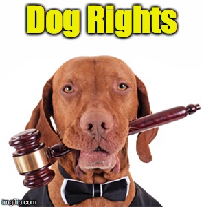 Dog Rights | made w/ Imgflip meme maker