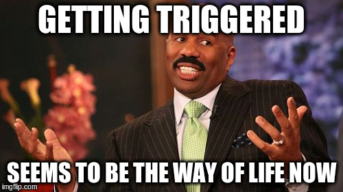 Steve Harvey Meme | GETTING TRIGGERED SEEMS TO BE THE WAY OF LIFE NOW | image tagged in memes,steve harvey | made w/ Imgflip meme maker