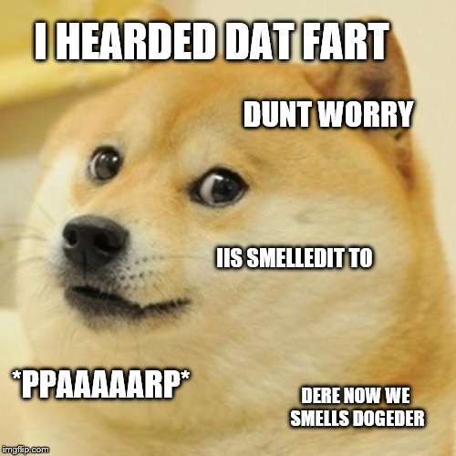 Doge Meme | I HEARDED DAT FART; DUNT WORRY; IIS SMELLEDIT TO; *PPAAAAARP*; DERE NOW WE SMELLS DOGEDER | image tagged in memes,doge | made w/ Imgflip meme maker