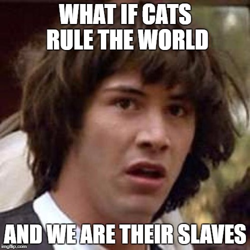 Conspiracy Keanu Meme | WHAT IF CATS RULE THE WORLD; AND WE ARE THEIR SLAVES | image tagged in memes,conspiracy keanu | made w/ Imgflip meme maker