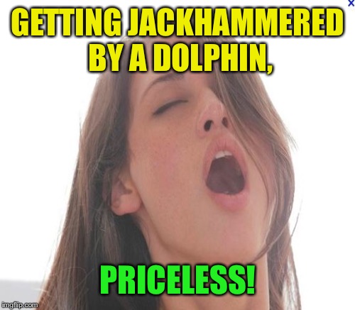 GETTING JACKHAMMERED BY A DOLPHIN, PRICELESS! | made w/ Imgflip meme maker