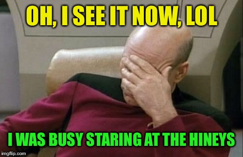 Captain Picard Facepalm Meme | OH, I SEE IT NOW, LOL I WAS BUSY STARING AT THE HINEYS | image tagged in memes,captain picard facepalm | made w/ Imgflip meme maker