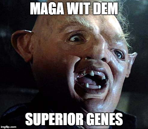 retarded retrasado | MAGA WIT DEM; SUPERIOR GENES | image tagged in retarded retrasado | made w/ Imgflip meme maker
