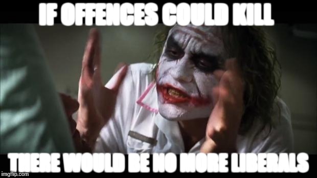And everybody loses their minds Meme | IF OFFENCES COULD KILL; THERE WOULD BE NO MORE LIBERALS | image tagged in memes,and everybody loses their minds | made w/ Imgflip meme maker