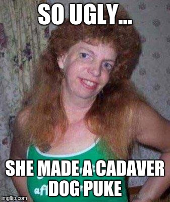 ugly ex | SO UGLY... SHE MADE A CADAVER DOG PUKE | image tagged in ugly ex | made w/ Imgflip meme maker