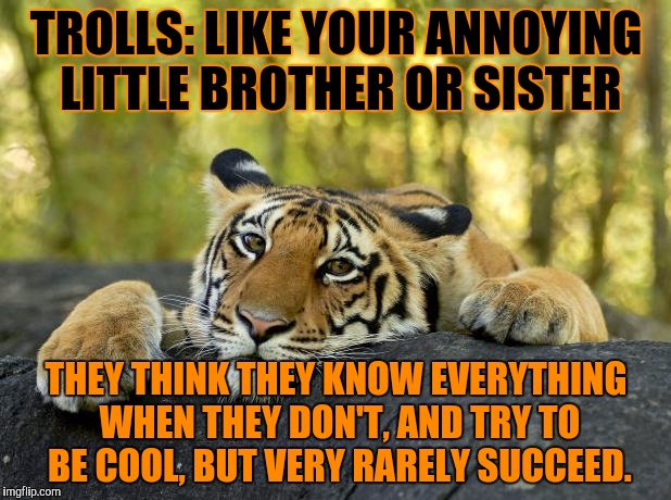 Thanks to Swiggys-back for inspiring me to submit this :) | TROLLS: LIKE YOUR ANNOYING LITTLE BROTHER OR SISTER; THEY THINK THEY KNOW EVERYTHING WHEN THEY DON'T, AND TRY TO BE COOL, BUT VERY RARELY SUCCEED. | image tagged in confession tiger,swiggys-back,trolls,annoying,little brother,little sister | made w/ Imgflip meme maker
