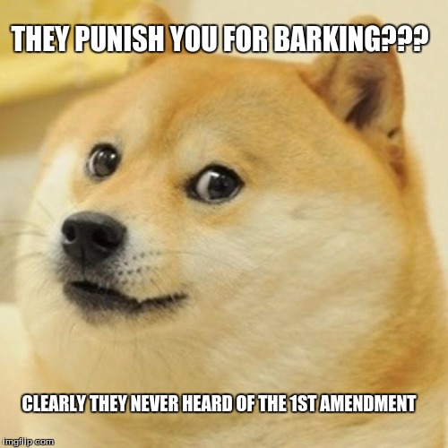 Doge Meme | THEY PUNISH YOU FOR BARKING??? CLEARLY THEY NEVER HEARD OF THE 1ST AMENDMENT | image tagged in memes,doge | made w/ Imgflip meme maker