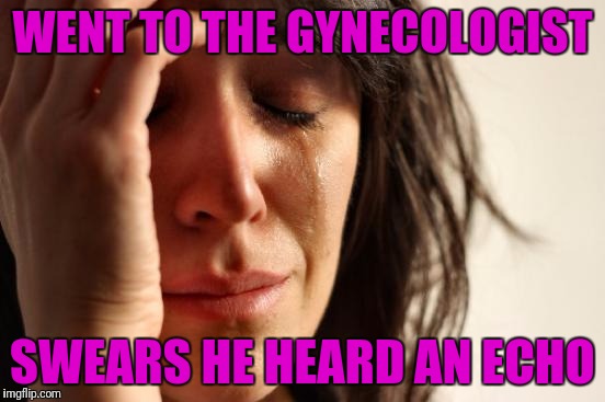 First World Problems Meme | WENT TO THE GYNECOLOGIST; SWEARS HE HEARD AN ECHO | image tagged in memes,first world problems | made w/ Imgflip meme maker