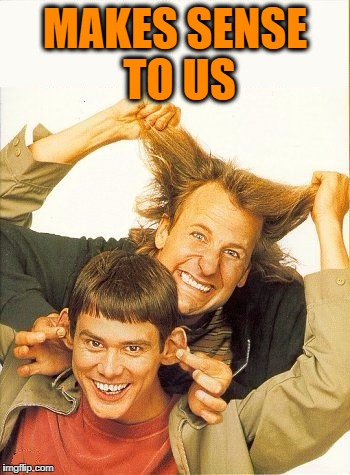 DUMB and dumber | MAKES SENSE TO US | image tagged in dumb and dumber | made w/ Imgflip meme maker