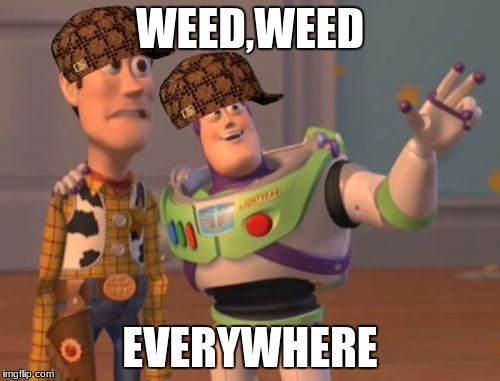 X, X Everywhere | WEED,WEED; EVERYWHERE | image tagged in memes,x x everywhere,scumbag | made w/ Imgflip meme maker