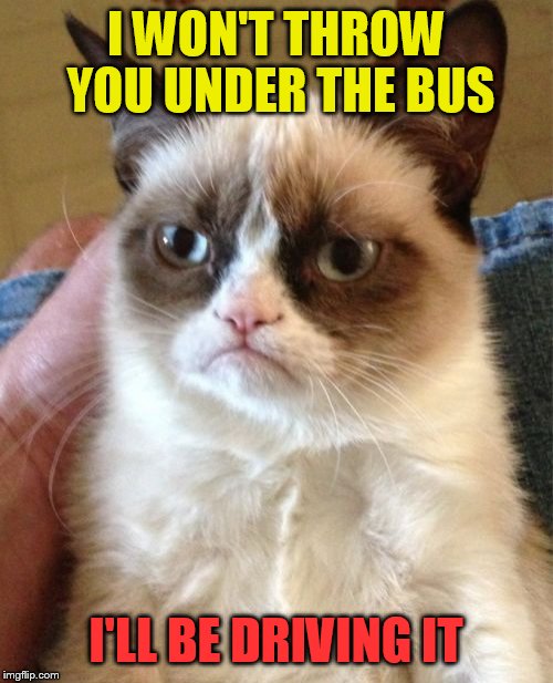 Grumpy Cat | I WON'T THROW YOU UNDER THE BUS; I'LL BE DRIVING IT | image tagged in memes,grumpy cat | made w/ Imgflip meme maker