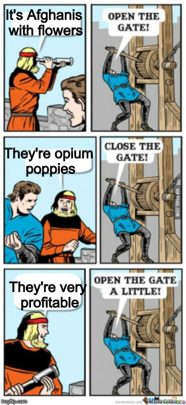 If you open the gate, just don't get caught | It's Afghanis with flowers; They're opium poppies; They're very profitable | image tagged in open the gate a little,afghanistan,opium,poppies,memes | made w/ Imgflip meme maker