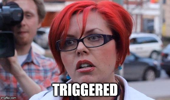 Angry Feminist | TRIGGERED | image tagged in angry feminist | made w/ Imgflip meme maker