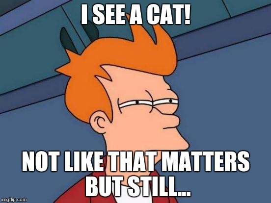 Futurama Fry | I SEE A CAT! NOT LIKE THAT MATTERS BUT STILL... | image tagged in memes,futurama fry | made w/ Imgflip meme maker