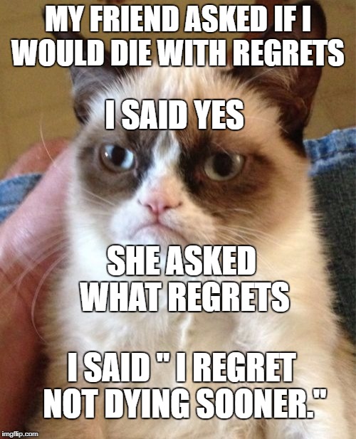 Grumpy Cat Meme | MY FRIEND ASKED IF I WOULD DIE WITH REGRETS; I SAID YES; SHE ASKED WHAT REGRETS; I SAID " I REGRET NOT DYING SOONER." | image tagged in memes,grumpy cat | made w/ Imgflip meme maker