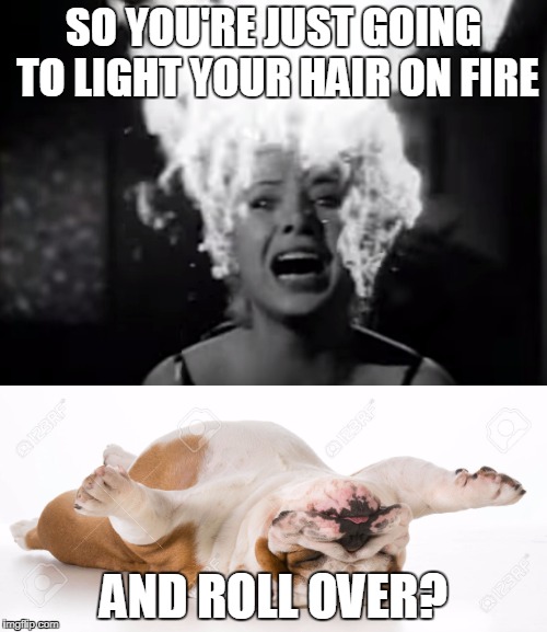 Stop with your panic drama | SO YOU'RE JUST GOING TO LIGHT YOUR HAIR ON FIRE; AND ROLL OVER? | image tagged in panic,fire,give up,just stop | made w/ Imgflip meme maker