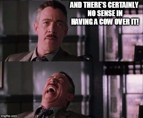 AND THERE'S CERTAINLY NO SENSE IN HAVING A COW OVER IT! | made w/ Imgflip meme maker