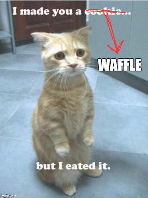 WAFFLE | made w/ Imgflip meme maker