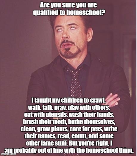 Face You Make Robert Downey Jr | Are you sure you are qualified to homeschool? I taught my children to crawl, walk, talk, pray, play with others, eat with utensils, wash their hands, brush their teeth, bathe themselves, clean, grow plants, care for pets, write their names, read, count, and some other lame stuff. But you're right, I am probably out of line with the homeschool thing. | image tagged in memes,face you make robert downey jr | made w/ Imgflip meme maker