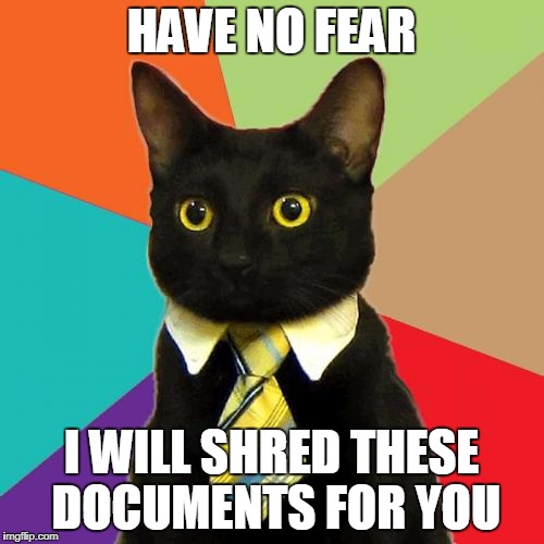 Business Cat Meme | HAVE NO FEAR; I WILL SHRED THESE DOCUMENTS FOR YOU | image tagged in memes,business cat | made w/ Imgflip meme maker