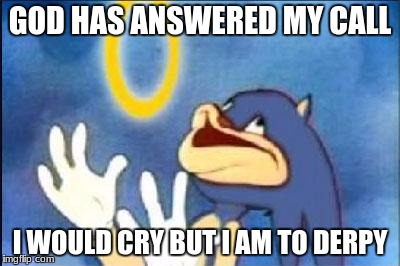 Sonic derp | GOD HAS ANSWERED MY CALL; I WOULD CRY BUT I AM TO DERPY | image tagged in sonic derp | made w/ Imgflip meme maker
