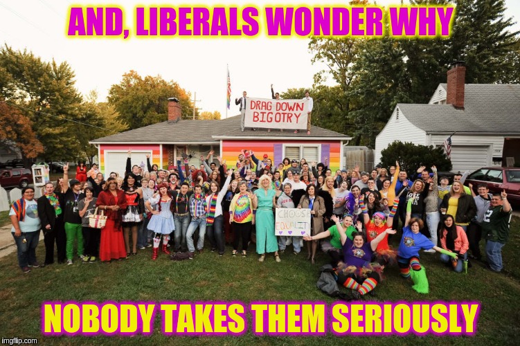 Liberal Loonies | AND, LIBERALS WONDER WHY; NOBODY TAKES THEM SERIOUSLY | image tagged in liberal loonies,memes | made w/ Imgflip meme maker