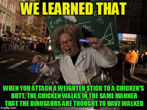 WE LEARNED THAT WHEN YOU ATTACH A WEIGHTED STICK TO A CHICKEN'S BUTT, THE CHICKEN WALKS IN THE SAME MANNER THAT THE DINOSAURS ARE THOUGHT TO | made w/ Imgflip meme maker