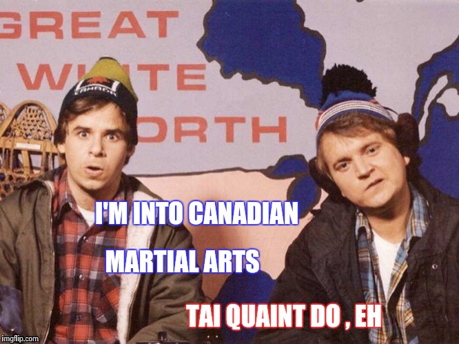 "Poke him with the Soft Cushions" - Monty Python's Spanish Inquisition | I'M INTO CANADIAN; TAI QUAINT DO , EH; MARTIAL ARTS | image tagged in the great white north,gentleman,self defense | made w/ Imgflip meme maker