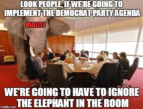 Meanwhile At DNC Headquarters | LOOK PEOPLE, IF WE'RE GOING TO IMPLEMENT THE DEMOCRAT PARTY AGENDA; REALITY; WE'RE GOING TO HAVE TO IGNORE THE ELEPHANT IN THE ROOM | image tagged in room elephant,memes,democrats | made w/ Imgflip meme maker