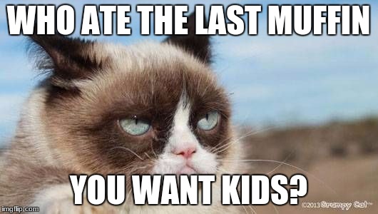 Muffins | WHO ATE THE LAST MUFFIN; YOU WANT KIDS? | image tagged in grumpy | made w/ Imgflip meme maker