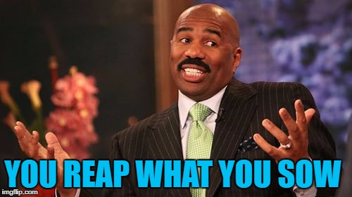 Steve Harvey Meme | YOU REAP WHAT YOU SOW | image tagged in memes,steve harvey | made w/ Imgflip meme maker